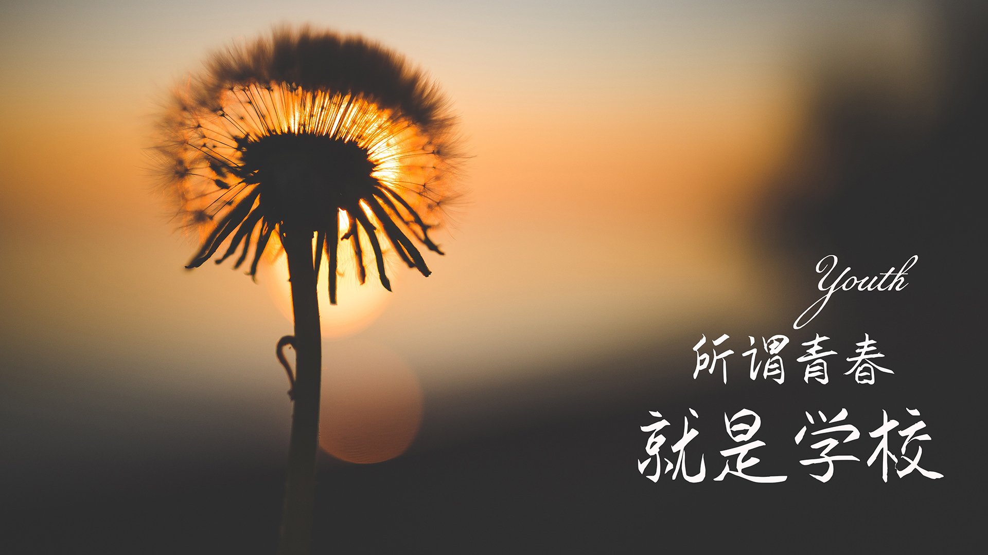 开云体育官网登入-职业运动员心理健康支持服务体系建设建议，职业运动员心理健康支持服务体系建设建议