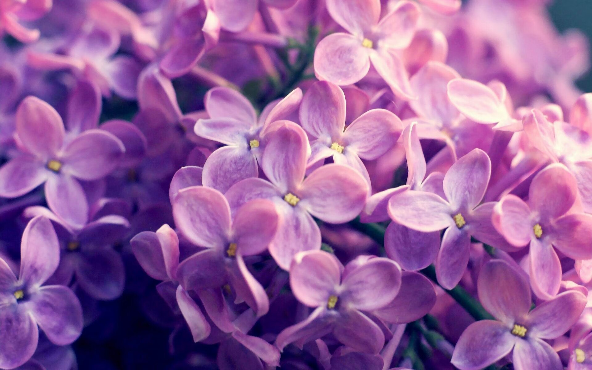 开云体育在线登入-冲刺爆发力数据揭秘冠军秘密，冲刺爆发谁的技能