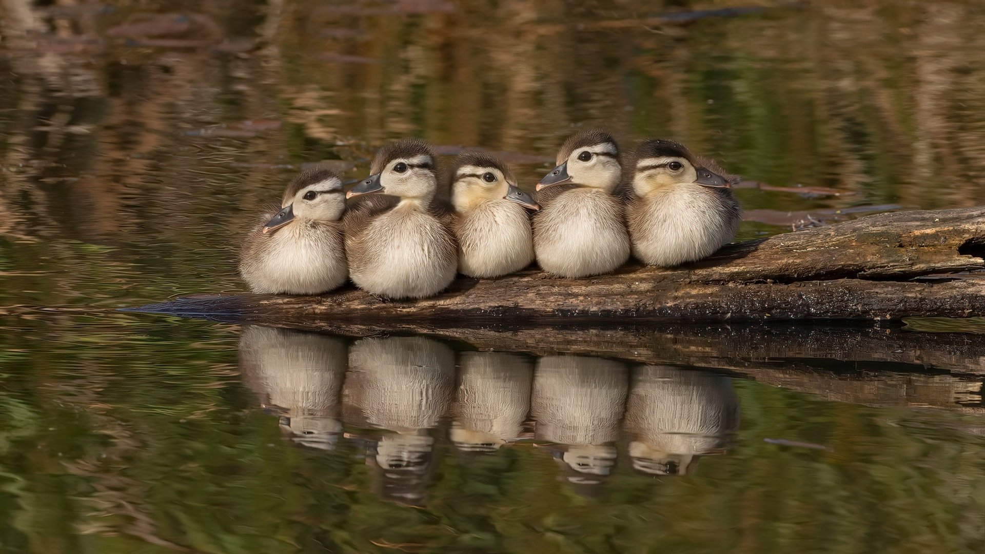 开云体育官网在线-切尔西防守体系成决胜关键因素，切尔西防守怎么这么强