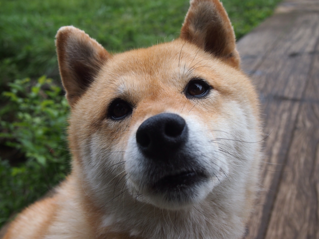 开云体育官网登入-外教带队长期战略目标不明确，外教带队长期战略目标不明确怎么办