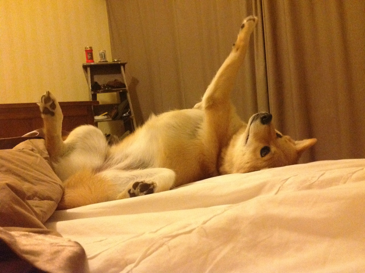 开运体育电脑版-球场空间拉开的战术设计要点，球场空间拉开的战术设计要点有哪些