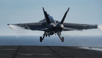 开云体育官网登入-美国队未来发展：如何突破困境，打造多元化队员配置，美国队的优势项目