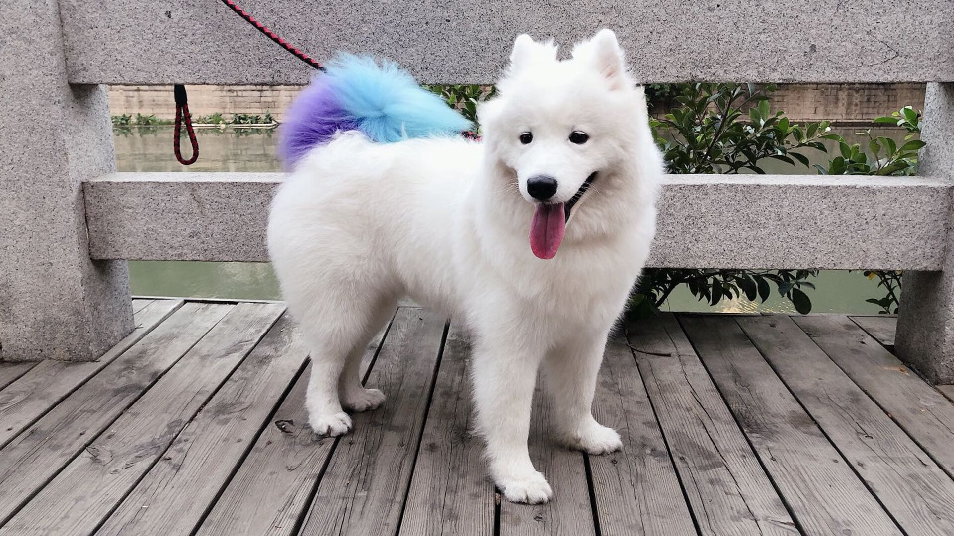 开云体育官网下载-职业联赛缺乏青少年参与生态联动