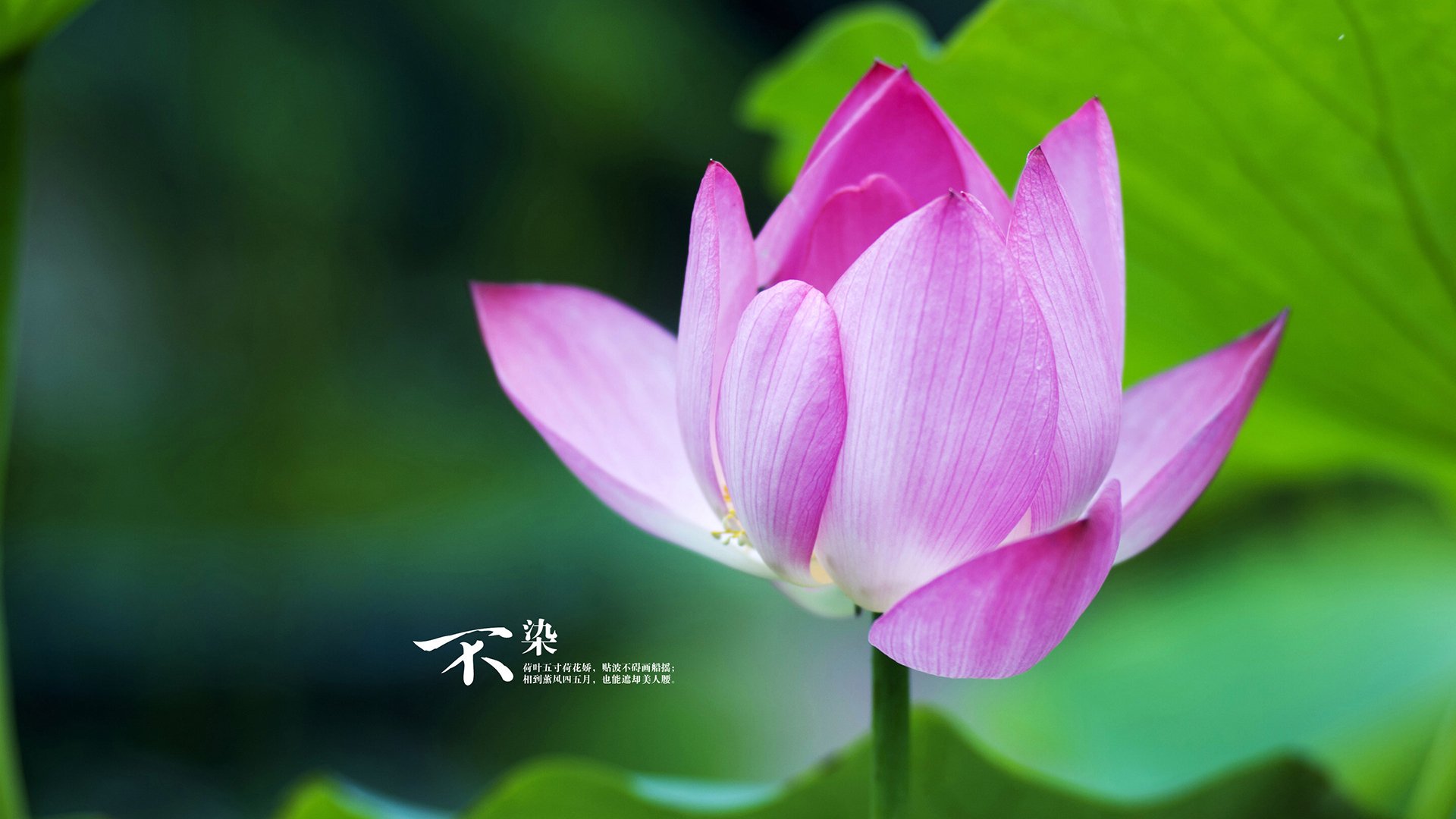 开云体育app下载-万乐天冲刺阶段表现抢眼，万乐什么意思