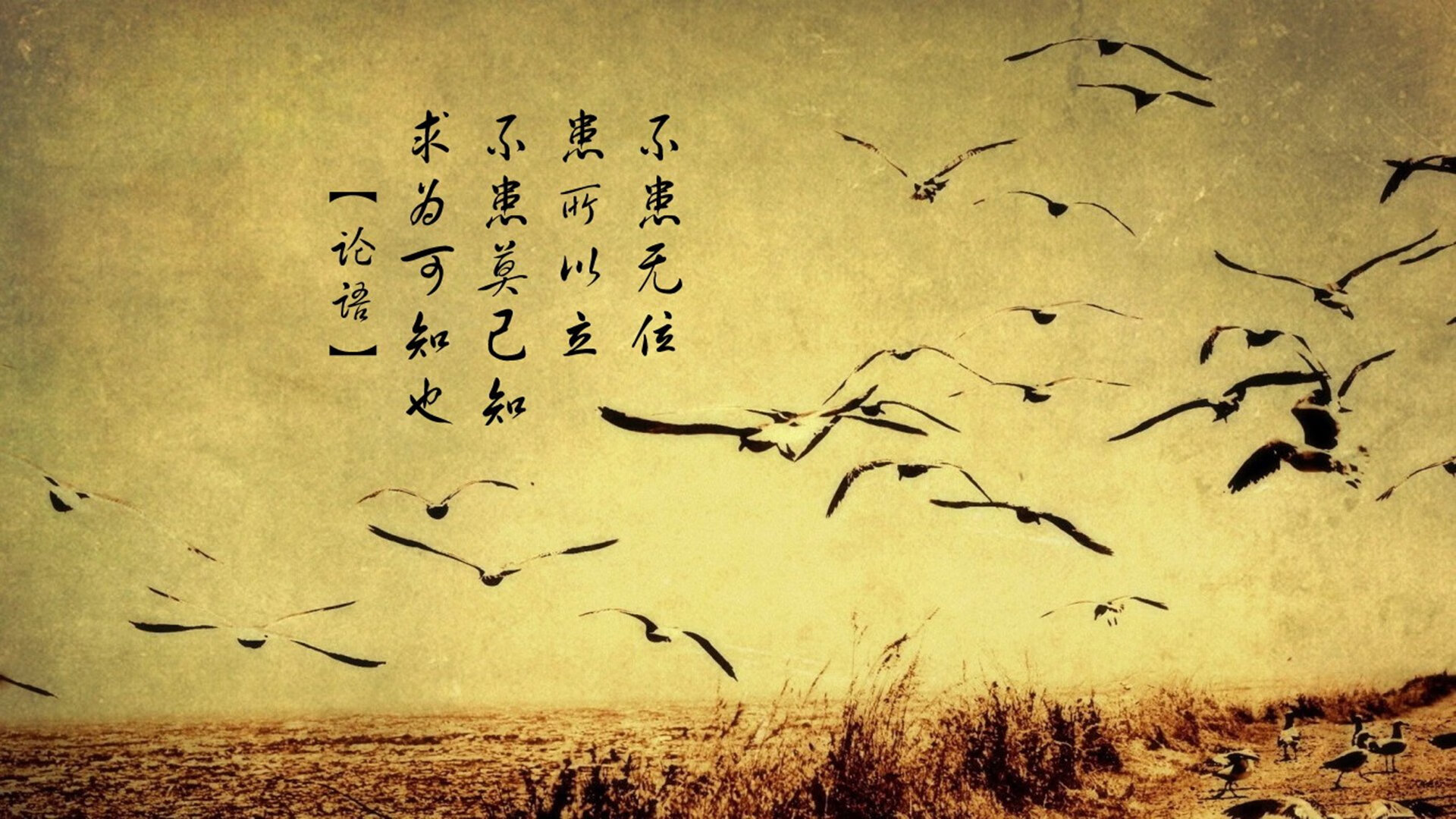 开云体育官网登入-后场球员成功率提升成为组织进攻与防守转换的关键节点,后场技术主要有