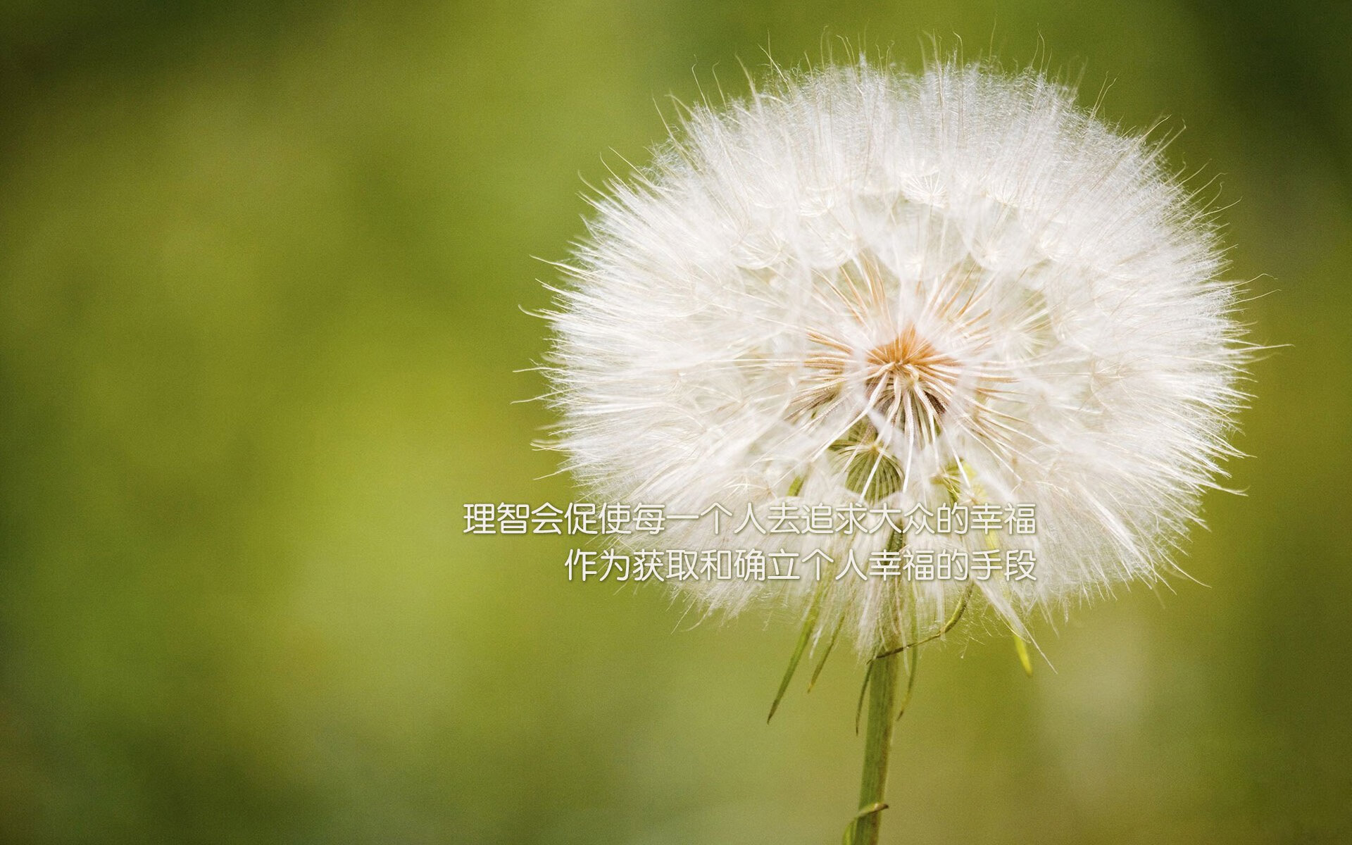 开云体育官网在线-国际足球裁判引入AI辅助系统，裁判决策变得更加精准，国际足球裁判员