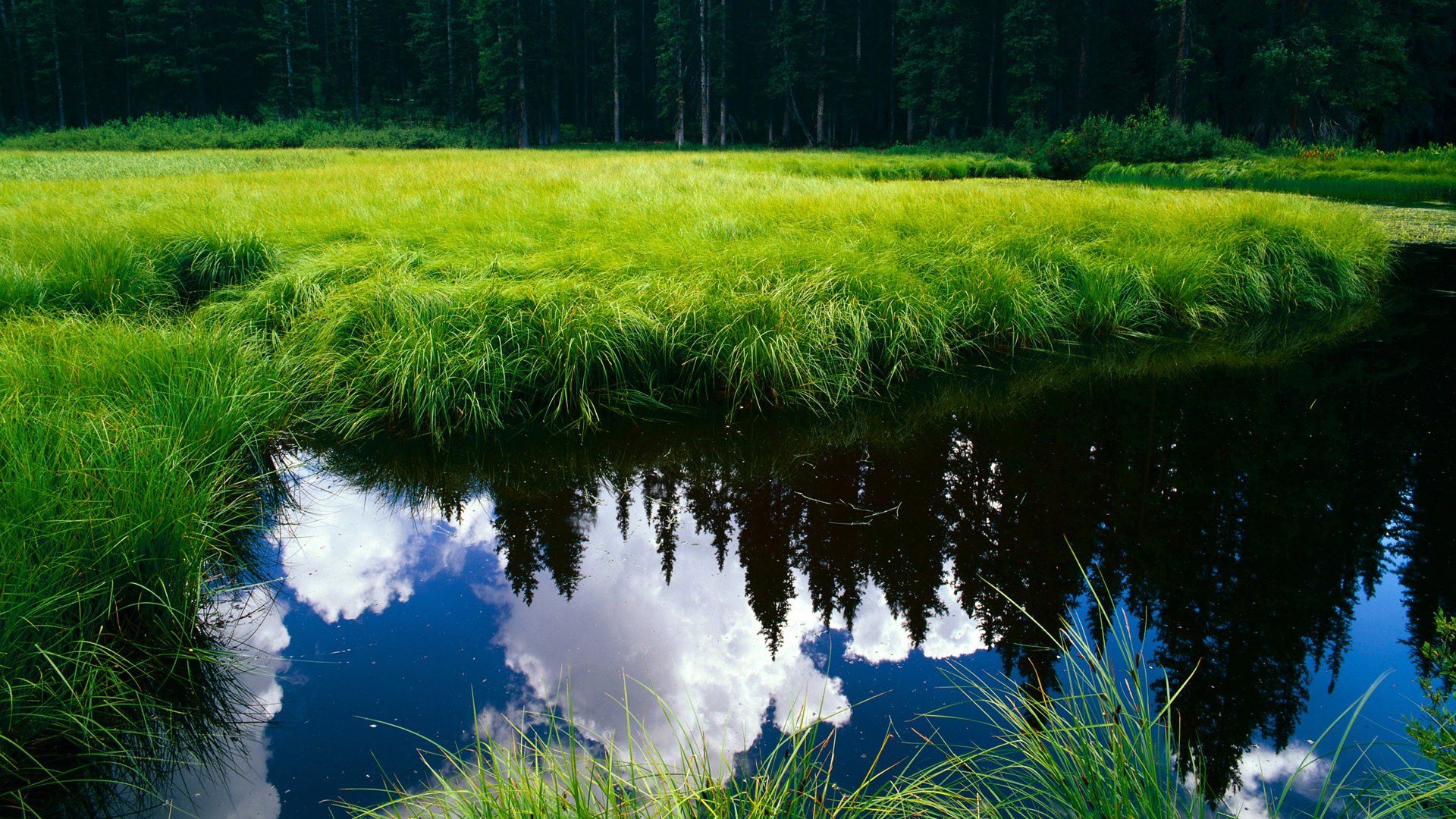 开云体育官网登入-塞尔维亚男篮在欧洲预赛中激战正酣，冲击奥运荣耀再启航！，塞尔维亚男篮阵容2021