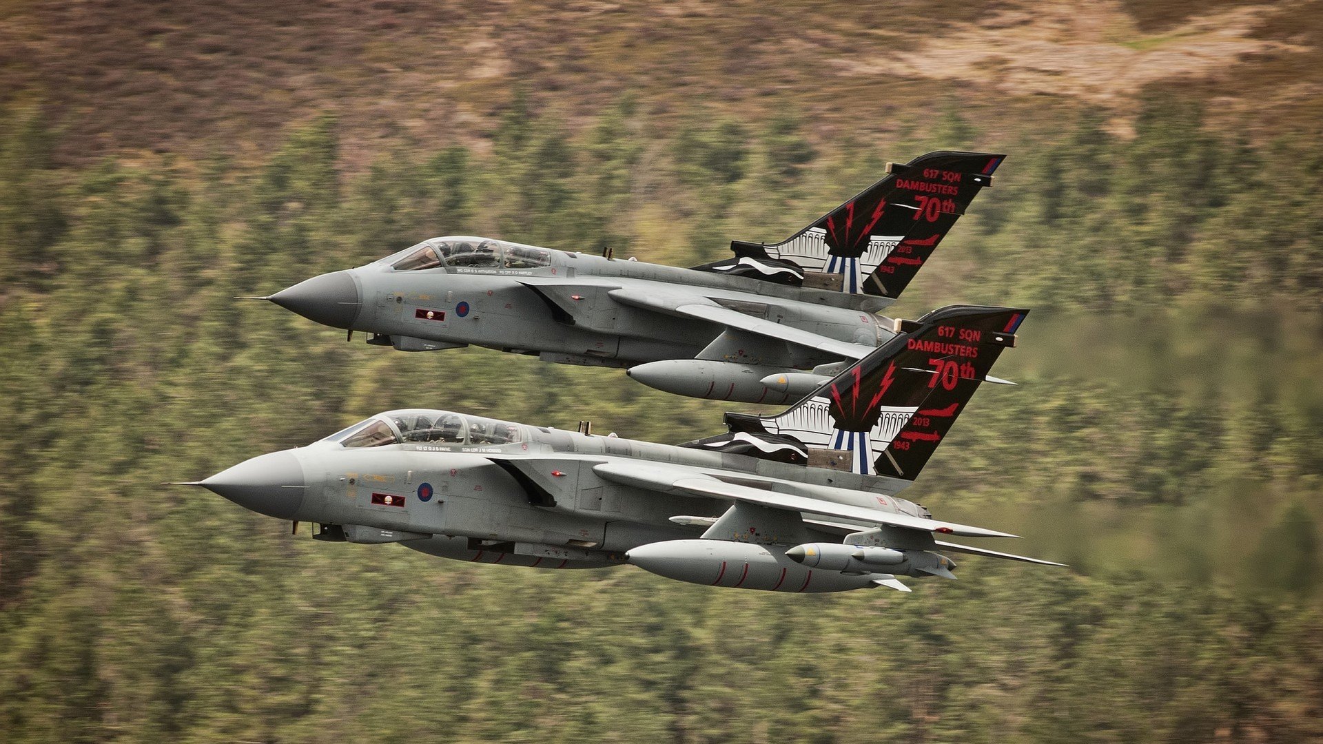 开云在线入口-张伟丽与小朋友互动推广格斗运动,张伟丽格斗集锦