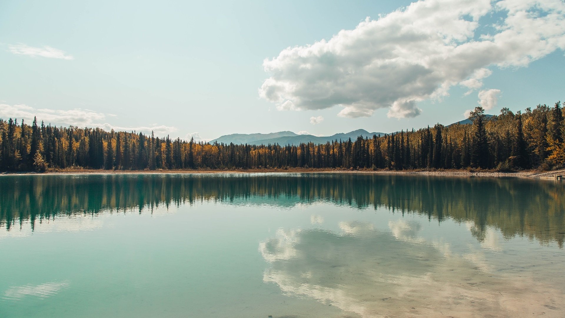 开云体育app下载-欧洲杯战术变革：多变阵型，妙要无穷！，欧洲杯d组形势
