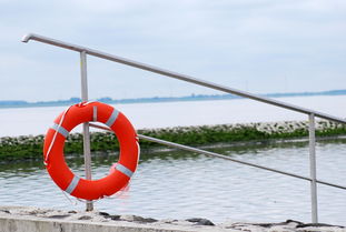 开云体育app官网-游泳与水球队协同训练提高整体表现,游泳联合组队