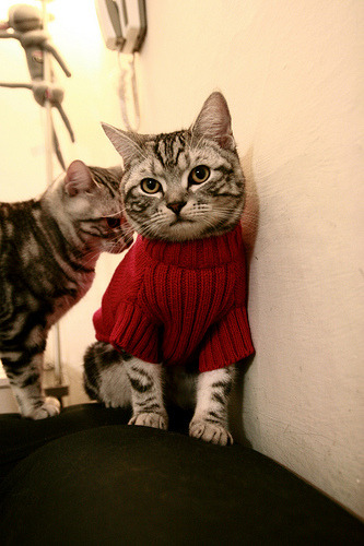 开云ky官网-瑞·弗兰:每次进攻中的“核心传球者”,总能在关键时刻找到队友