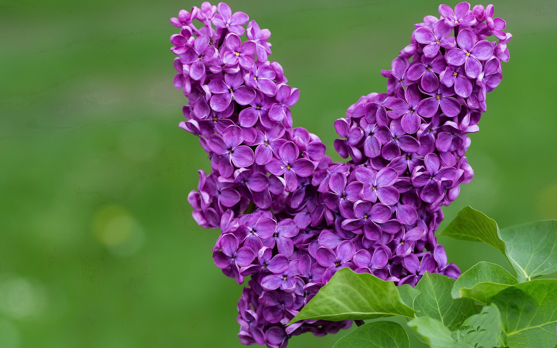 开云体育app-霍特·巴雷特:全黑队战略部署的核心球员,控场能力堪称一绝,霍雷巴格顿