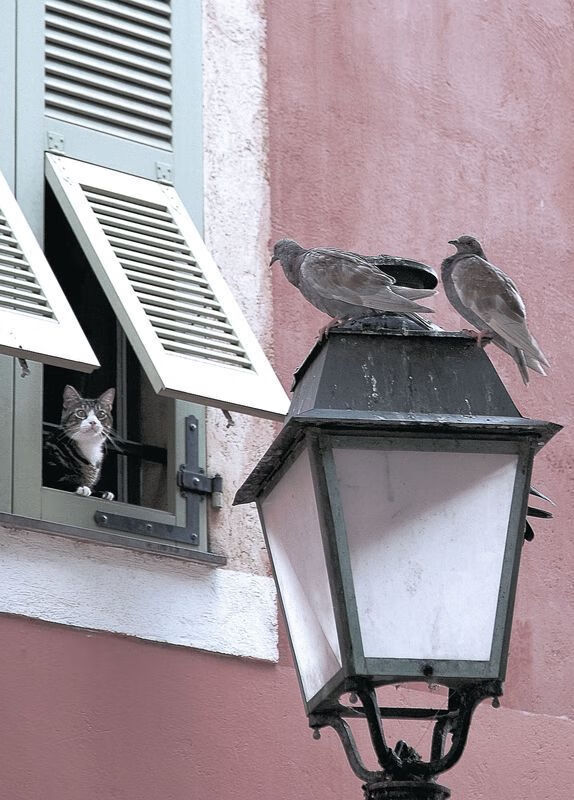 开云体育app-霍特·巴雷特:全黑队战略部署的核心球员,控场能力堪称一绝,霍雷巴格顿