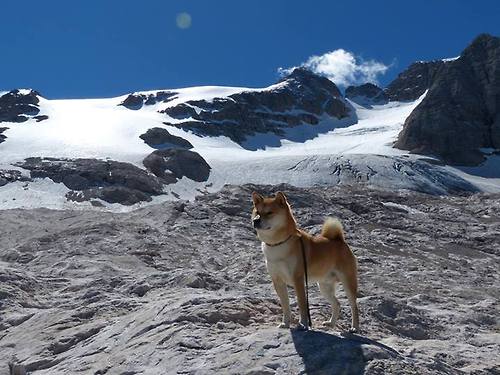 开云体育入口-青少年足球交流营开启,促进跨国合作,青少年足球训练营文化节手抄报