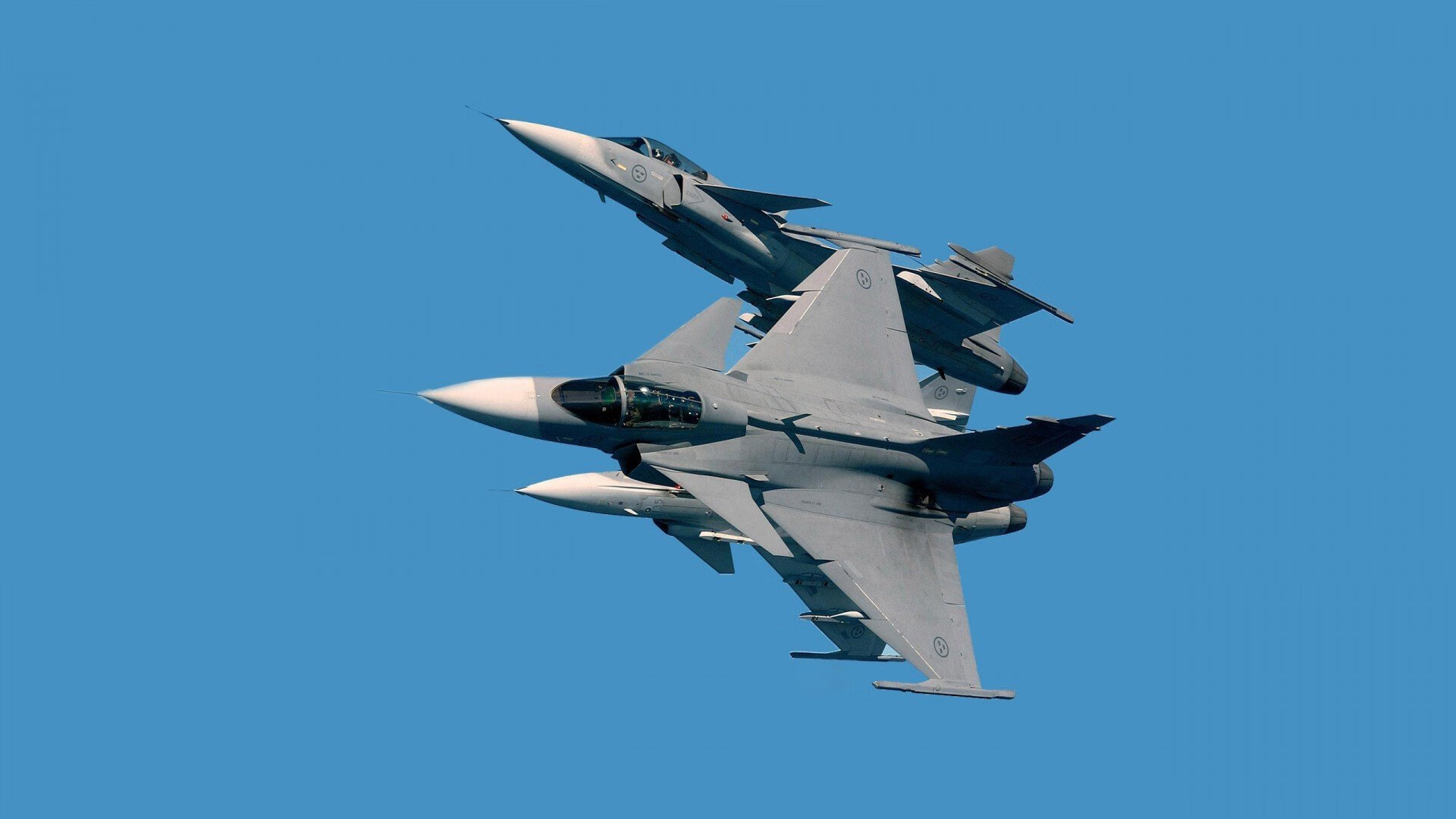 开云体育app入口-“罗密欧·冈萨雷斯的突破力与精确传球，助力美洲狮队实现进攻目标”